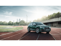 Audi SQ5 TFSI en Madrid AUDI SQ5 TFSI nuevo